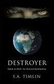 Destroyer (eBook, ePUB)
