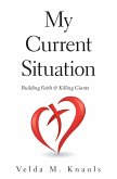 My Current Situation (eBook, ePUB)
