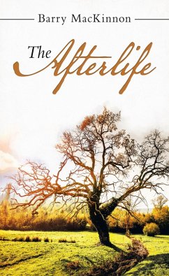 The Afterlife (eBook, ePUB)