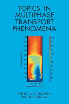 Topics in Multiphase Transport Phenomena (eBook, ePUB)