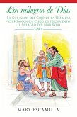 Los Milagros De Dios (eBook, ePUB)