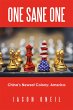 One Sane One (eBook, ePUB) - Bild 1