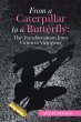 From a Caterpillar to a Butterfly: the... - Bild 1