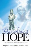 Reawakening Hope (eBook, ePUB)