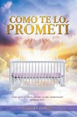 Como Te Lo Prometí (eBook, ePUB)