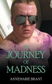 A Journey of Madness (eBook, ePUB)