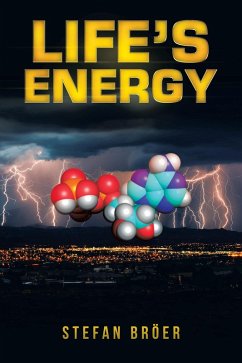 Life's Energy (eBook, ePUB) - Bröer, Stefan