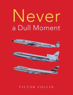 Never a Dull Moment (eBook, ePUB)
