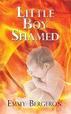 Little Boy Shamed (eBook, ePUB)