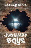 Junkyard Boys (eBook, ePUB)