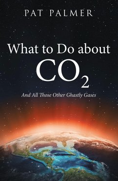 Cover What to Do About Co2 (eBook, ePUB)