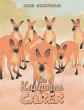 The Kangaroo Carer (eBook, ePUB) - Bild 1