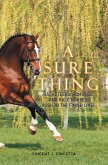 A Sure Thing (eBook, ePUB)
