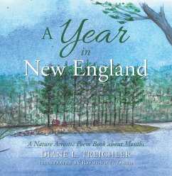 A Year in New England (eBook, ePUB)