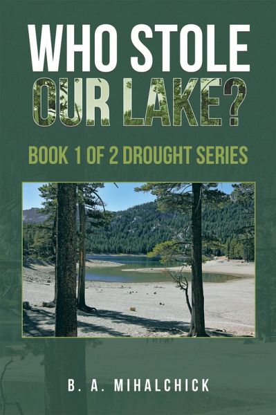 Who Stole Our Lake? (eBook, ePUB)