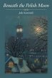 Beneath the Polish Moon (eBook, ePUB) - Bild 1