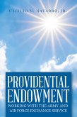 Providential Endowment (eBook, ePUB)