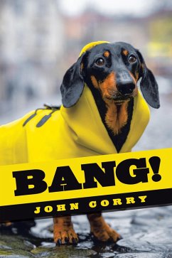 Cover Bang! (eBook, ePUB)