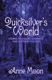 Quicksilver's World (eBook, ePUB)