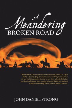 A Meandering Broken Road (eBook, ePUB)