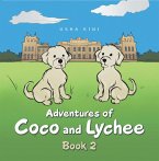 Adventures of Coco and Lychee (eBook, ePUB)