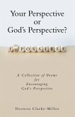 Your Perspective or God's Perspective? (eBook, ePUB)