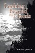 Looking Beyond the Clouds (eBook, ePUB) - Bild 1