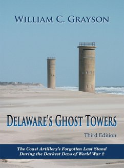 Delaware's Ghost Towers Third Edition (eBook, ePUB) - Grayson, William C.