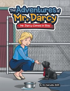 Cover The Adventures of Mr. Darcy (eBook, ePUB)