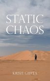 Static Chaos (eBook, ePUB)