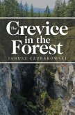 The Crevice in the Forest (eBook, ePUB)