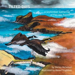 Cover Tilted Days (eBook, ePUB)
