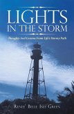 Lights in the Storm (eBook, ePUB)
