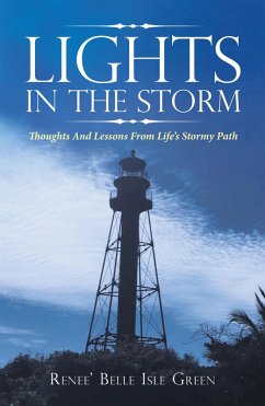 Cover Lights in the Storm (eBook, ePUB)