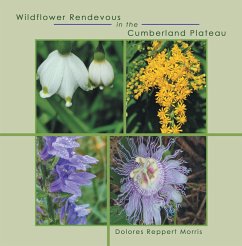 Wildflower Rendevous in the Cumberland Plateau (eBook, ePUB) - Morris, Dolores Reppert