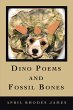 Dino Poems and Fossil Bones (eBook,... - Bild 1