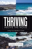 Thriving Above the Noise (eBook, ePUB)