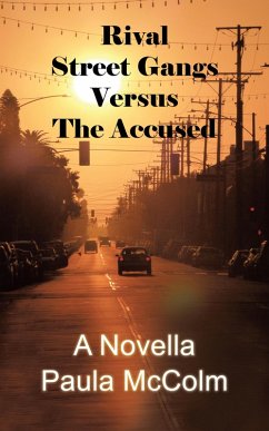 Rival Street Gangs Versus the Accused (eBook, ePUB)