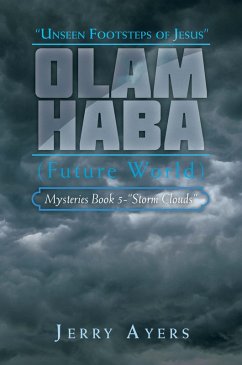 Olam Haba (Future World) Mysteries Book 5-&quote;Storm Clouds&quote; (eBook, ePUB)