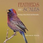 Feathers and Scales (eBook, ePUB)