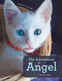 The Adventures of Angel (eBook, ePUB)
