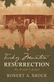 Turkey Mountain Resurrection (eBook, ePUB)