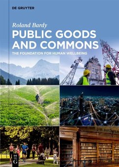 Cover Public Goods and Commons (eBook, ePUB)