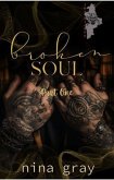 Broken Soul - The Broken Soul Series Book One Part One (eBook, ePUB)