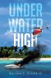 Underwater High (eBook, ePUB) - Bild 1