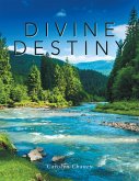 Divine Destiny (eBook, ePUB)