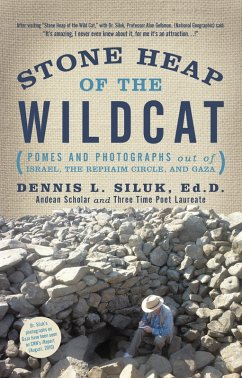 Cover Stone Heap of the Wildcat (eBook, ePUB)