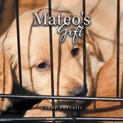 Mateo's Gift (eBook, ePUB) - Porcelli, Cindy