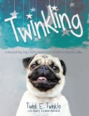 Twinkling (eBook, ePUB)