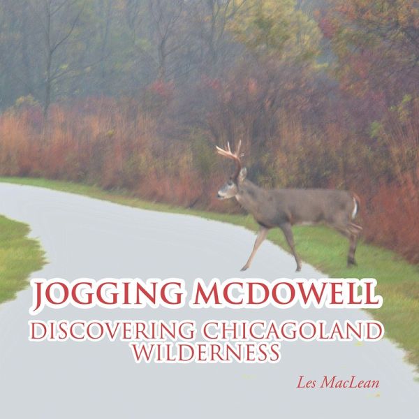 Jogging Mcdowell (eBook, ePUB)